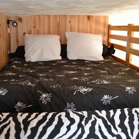 Super Lioran - Appartement Entierement Equipe Laveissiere Экстерьер фото