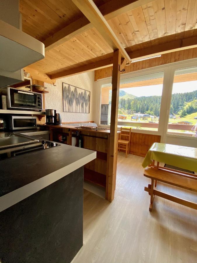 Super Lioran - Appartement Entierement Equipe Laveissiere Экстерьер фото